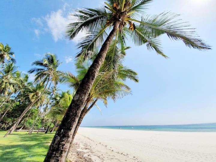 Bed and Breakfast Mami Wata House Kwale Екстер'єр фото
